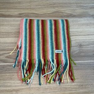 Colorful Striped Fringe Scarf